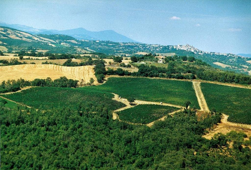 Villa Fattoria Poggio Foco à Manciano Extérieur photo